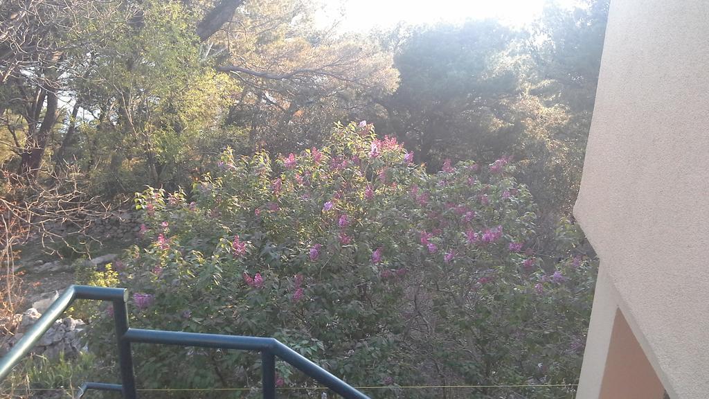 Apartment Gal Podgora Luaran gambar