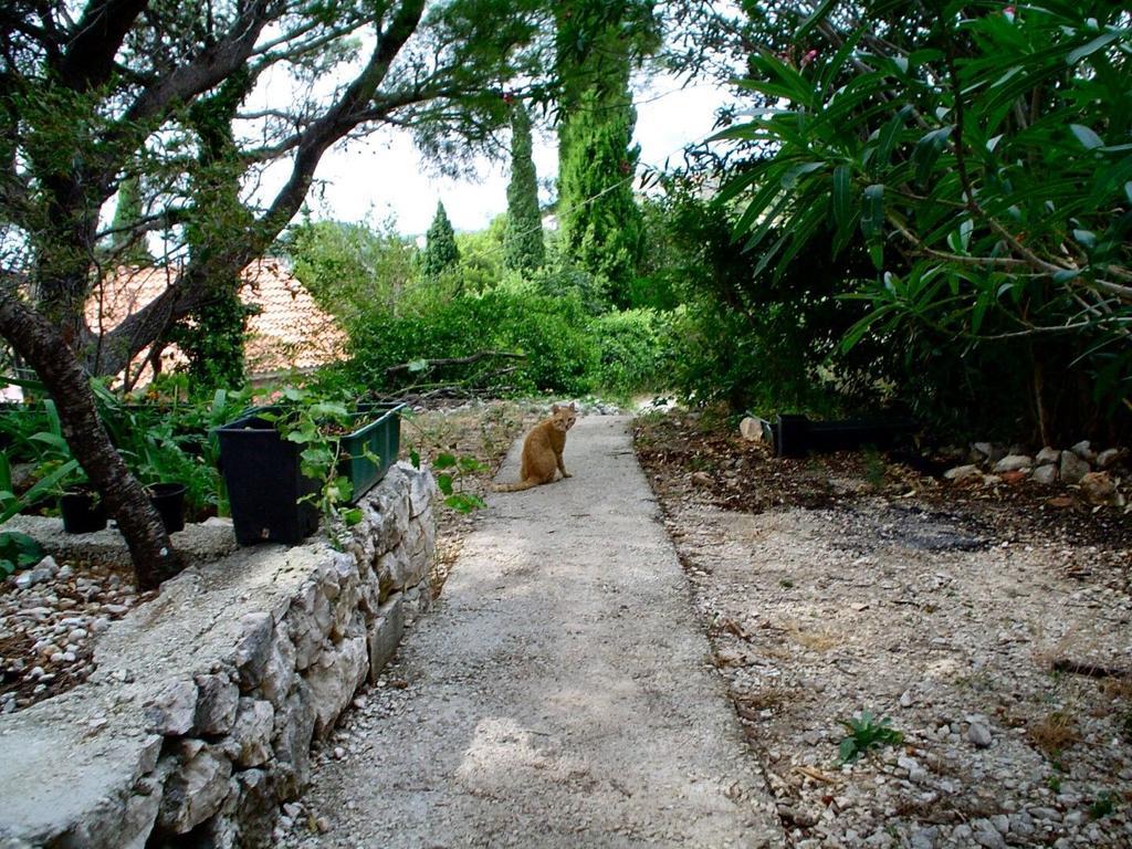 Apartment Gal Podgora Luaran gambar